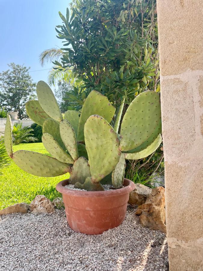 Casa Portacranni Holiday home San Pietro in Bevagna
